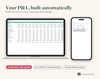 Profit and Loss Template Google Sheets Excel, Small Business Bookkeeping Spreadsheet, Income Expense Tracker, P&L Statement, Mileage Log