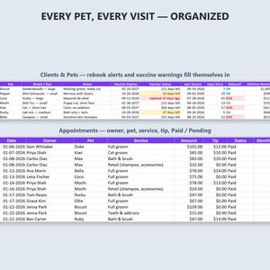 Puede incluir: Una plantilla de hoja de c&aacute;lculo digital titulada EVERY PET, EVERY VISIT &mdash; ORGANIZED. Incluye dos tablas: Clients & Pets con columnas para propietario, mascota, raza, notas, estado de vacunaci&oacute;n e ingresos, y Appointments con fecha, propietario, mascota, servicio y pago.