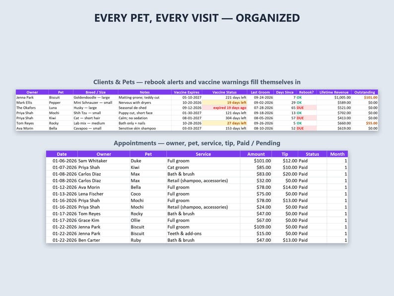 Puede incluir: Una plantilla de hoja de c&aacute;lculo digital titulada EVERY PET, EVERY VISIT &mdash; ORGANIZED. Incluye dos tablas: Clients & Pets con columnas para propietario, mascota, raza, notas, estado de vacunaci&oacute;n e ingresos, y Appointments con fecha, propietario, mascota, servicio y pago.