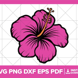 Hibiscus SVG, bloemen PNG, Hawaii Flower DXF, hibiscus vector, bloemen, tropische wilde bloemen clipart Cricut silhouet snijden bestand