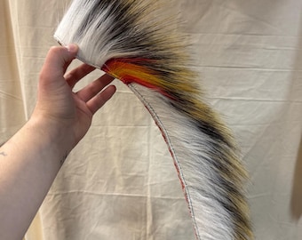 Cucaracha puercoespín