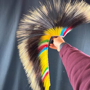 May include: A large, semi-circular fan constructed from long, stiff quills. The quills are primarily black and cream-coloured, featuring a vibrant, multi-coloured band near the handle with bright yellow, green, red, and blue segments.