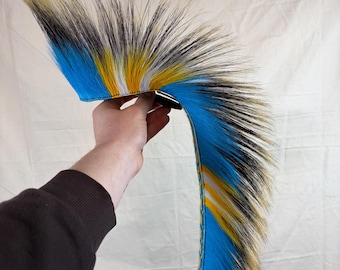 Cucaracha cabeza de puercoespín