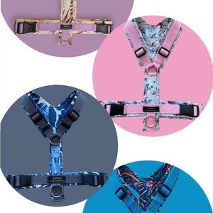 Chest harness, Y-harness, dog harness