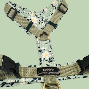 Brustgeschirr, Y-Geschirr, Hundegeschirr, Hundezubehör, Geschirr, Softshell, Gurtband, Hund, Harness, grün, mint, oliv