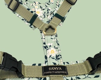 Chest harness, Y-harness, dog harness, dog accessories, harness, softshell, webbing, dog, harness, green, mint, olive