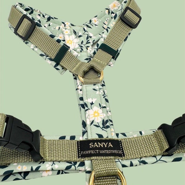 Chest harness, Y-harness, dog harness, dog accessories, harness, softshell, webbing, dog, harness, green, mint, olive