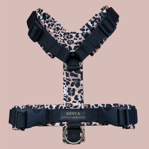Leo chest harness, Y-harness, dog harness, leopard look, leopard, dog accessories, harness, softshell, webbing, dog, harness