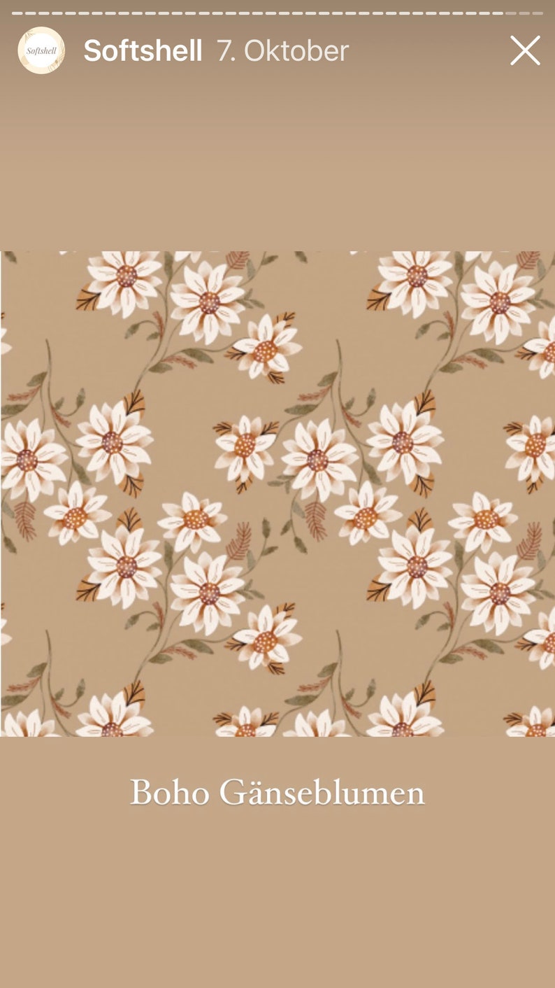 Op de afbeelding: Een naadloos patroon met witte madeliefjes met bruine centra op een lichtbruine achtergrond. De tekst "boho g&auml;nseblumen" staat onderaan de afbeelding.