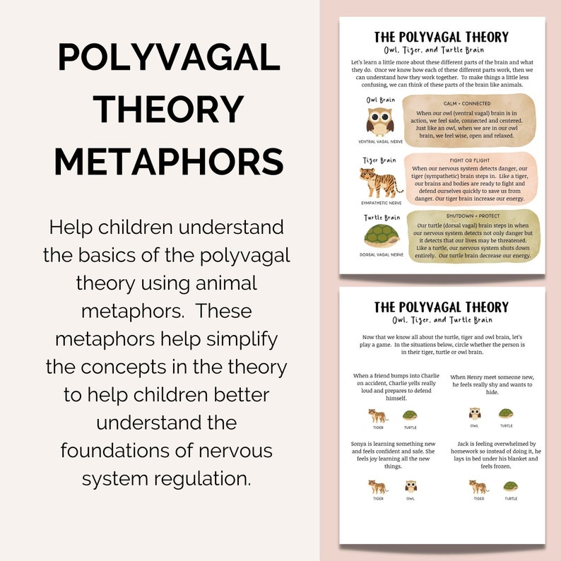 May include: A colorful infographic explaining the Polyvagal Theory using animal metaphors. The infographic features an owl, tiger, and turtle, each representing a different state of the nervous system. The text explains how each animal represents a different state of the nervous system: calm, connected, fight or flight, and shutdown/protect.