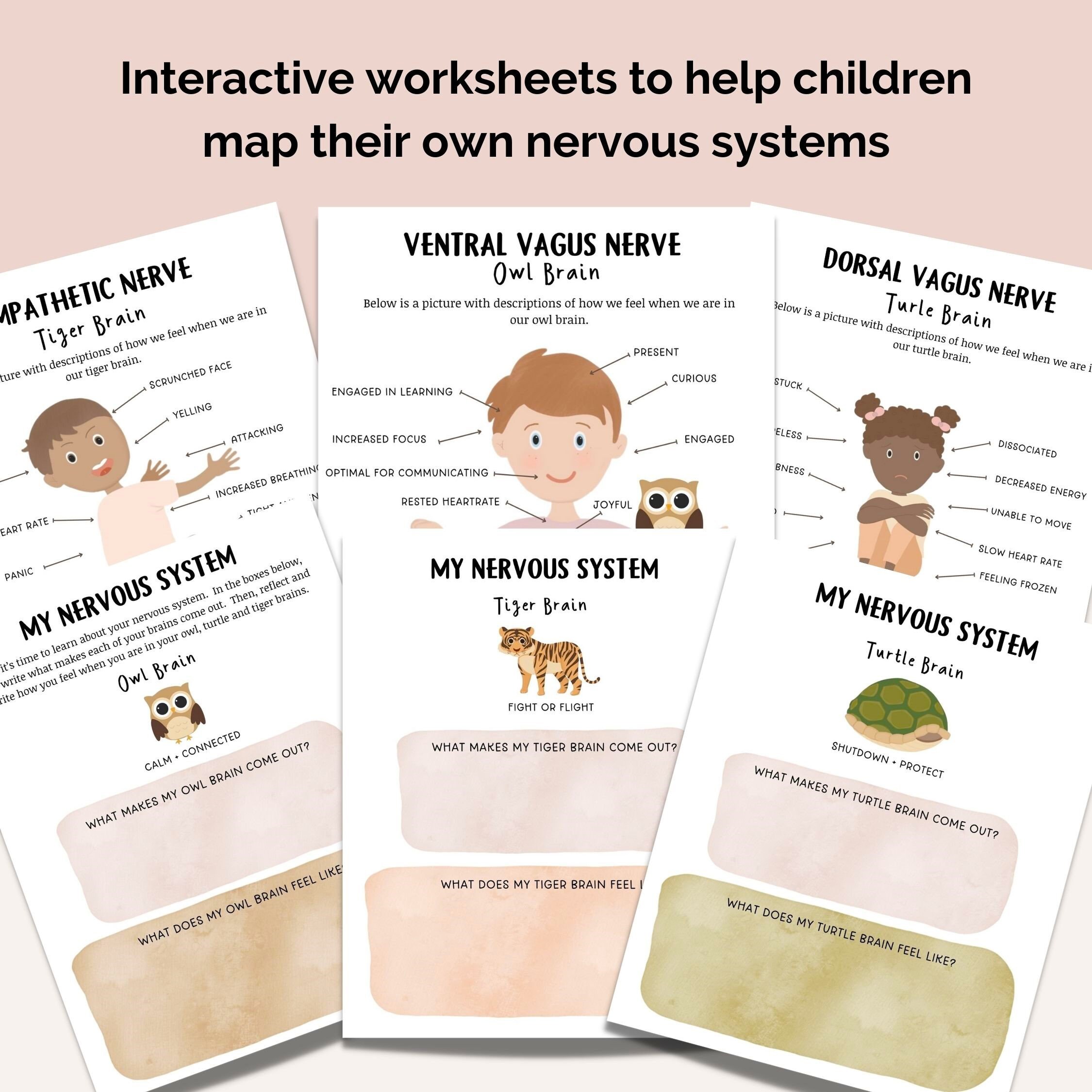 Nervous System Regulation for Kids, Distress Tolerance for Children ...