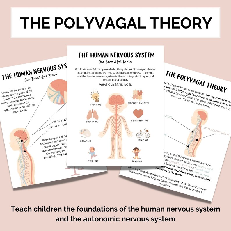 May include: A colorful infographic explaining the Polyvagal Theory, a concept in neuroscience that describes how the vagus nerve helps regulate our nervous system and emotions. The infographic features illustrations of the brain, heart, and nervous system, along with text explaining the theory.