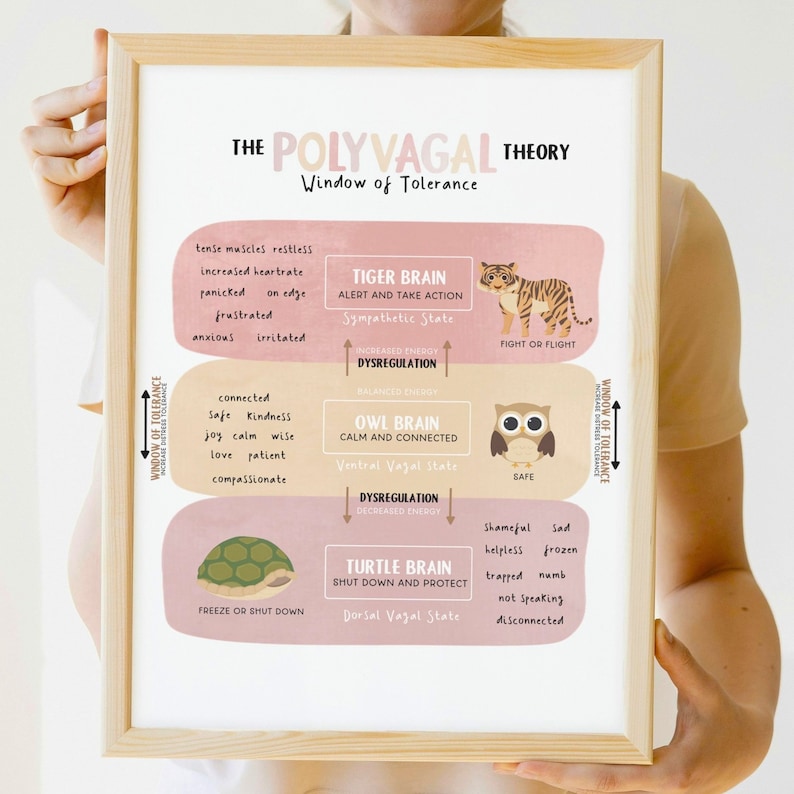 K&ouml;nnte beinhalten: Ein rosa-beiges illustriertes Diagramm, das die Polyvagal-Theorie erkl&auml;rt. Das Diagramm zeigt drei Zust&auml;nde des Nervensystems: Tiger-Gehirn (Kampf oder Flucht), Eulen-Gehirn (ruhig und verbunden) und Schildkr&ouml;ten-Gehirn (einfrieren oder abschalten). Jeder Zustand wird durch eine Tierillustration dargestellt: ein Tiger, eine Eule und eine Schildkr&ouml;te.