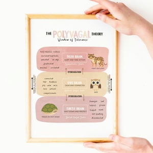K&ouml;nnte beinhalten: Ein Diagramm mit dem Titel "Die Polyvagal-Theorie: Fenster der Toleranz" mit Illustrationen eines Tigers, einer Eule und einer Schildkr&ouml;te. Das Diagramm beschreibt die verschiedenen Zust&auml;nde des autonomen Nervensystems, einschlie&szlig;lich der sympathischen, ventralen Vagus- und dorsalen Vagus-Zust&auml;nde.