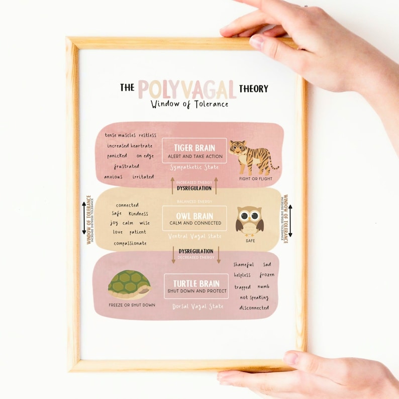 K&ouml;nnte beinhalten: Ein Diagramm mit dem Titel "Die Polyvagal-Theorie: Fenster der Toleranz" mit Illustrationen eines Tigers, einer Eule und einer Schildkr&ouml;te. Das Diagramm beschreibt die verschiedenen Zust&auml;nde des autonomen Nervensystems, einschlie&szlig;lich der sympathischen, ventralen Vagus- und dorsalen Vagus-Zust&auml;nde.