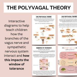 May include: A colorful infographic explaining the Polyvagal Theory, which describes the branches of the vagus nerve and how they impact the sympathetic nervous system. The infographic features illustrations of an owl, tiger, and turtle, representing different states of the nervous system. The text "Window of Tolerance" is also included, highlighting the concept of regulating emotions and responses to stress.