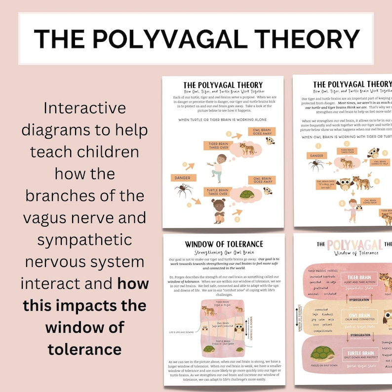 May include: A colorful infographic explaining the Polyvagal Theory, which describes the branches of the vagus nerve and how they impact the sympathetic nervous system. The infographic features illustrations of an owl, tiger, and turtle, representing different states of the nervous system. The text "Window of Tolerance" is also included, highlighting the concept of regulating emotions and responses to stress.