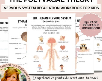 Regulación del sistema nervioso para niños, Tolerancia al malestar para niños, Habilidades de regulación emocional, Teoría polivagal, Ventana de tolerancia