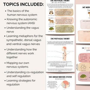 May include: A colorful infographic explaining the Polyvagal Theory, which describes the autonomic nervous system and its three states: calm, fight-or-flight, and shutdown. The infographic uses illustrations of an owl, tiger, and turtle to represent each state. The text includes the terms "dorsal vagus nerve", "ventral vagus nerve", and "sympathetic nerve".