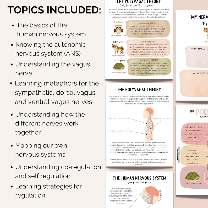 May include: A colorful infographic explaining the Polyvagal Theory, which describes the autonomic nervous system and its three states: calm, fight-or-flight, and shutdown. The infographic uses illustrations of an owl, tiger, and turtle to represent each state. The text includes the terms "dorsal vagus nerve", "ventral vagus nerve", and "sympathetic nerve".