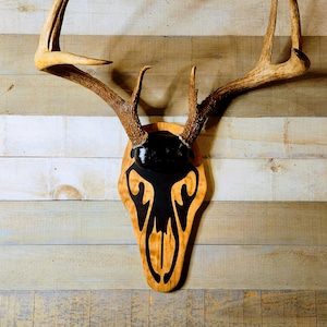 CNC Antler Plaque skull shape. Trophy mounting plaque.