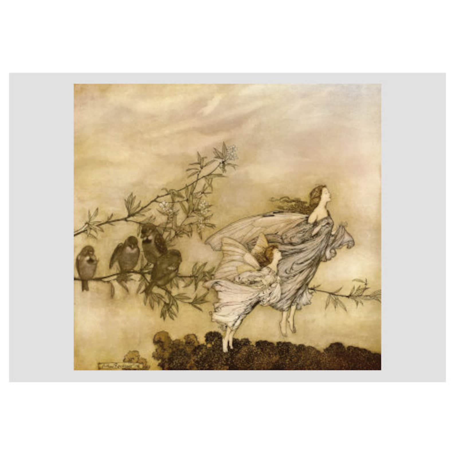 Arthur Rackham, Fairies, Birds, Peter Pan in Kensington Gardens, Fairy ...