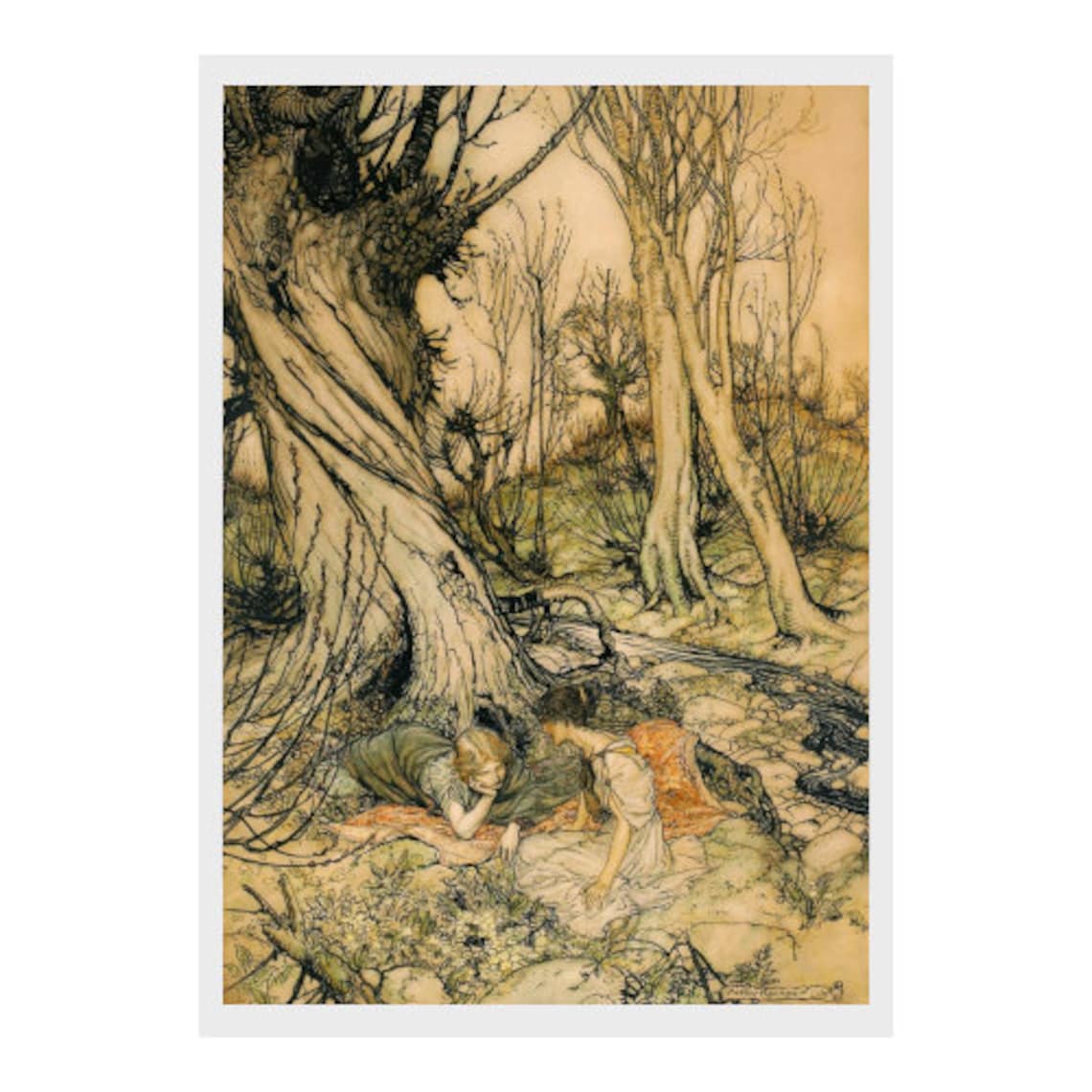 Arthur Rackham, Midsummer-night's Dream, Fairy, Tale, Print ...