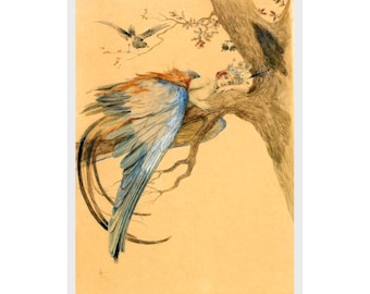 Sergey Solomko, Blue Bird, Fairy, Tale, Print, Illustration, Children, Adult, Book, Drawing, Fantasy, Pen, Ink, Watercolor