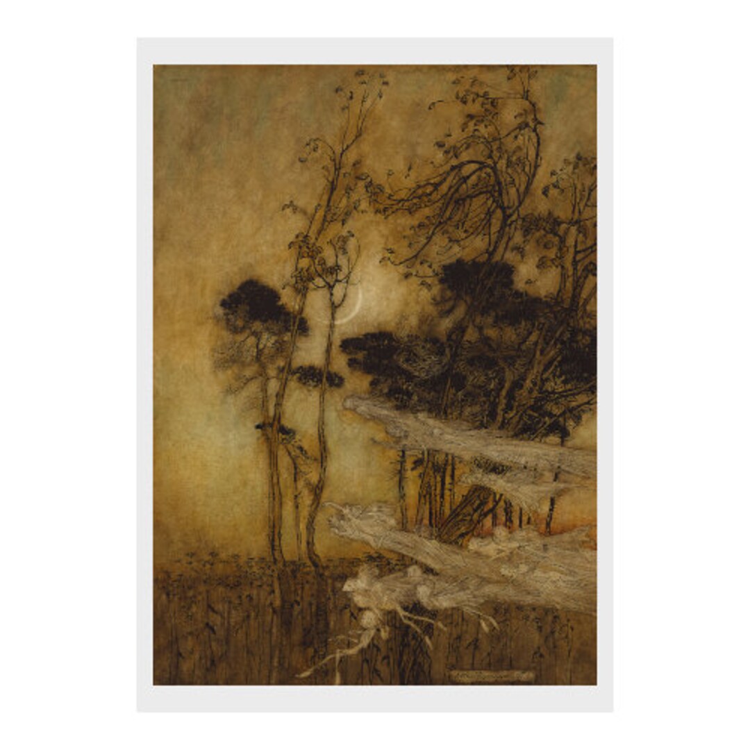 Arthur Rackham, Midsummer-night's Dream, Fairy, Tale, Print ...