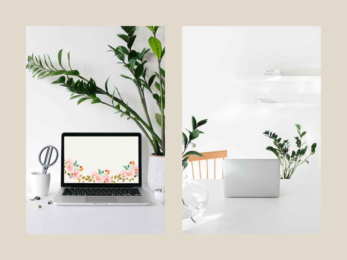 Spring Wallpaper, Spring Desktop Wallpaper, Flower Wallpaper, Flower