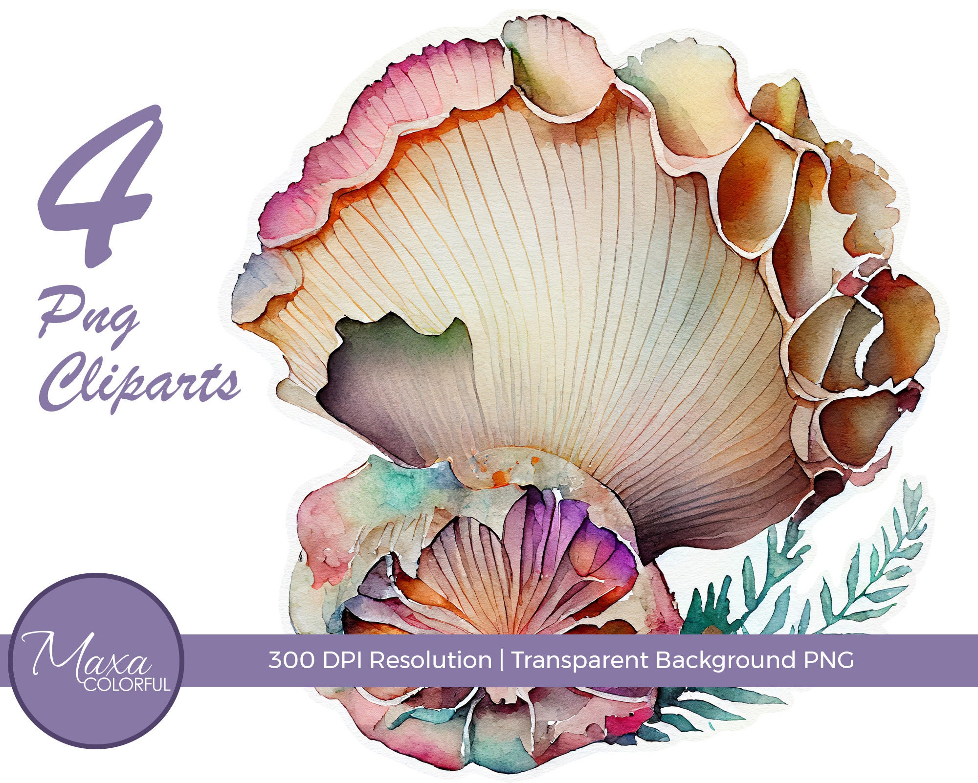 Watercolor Ocean Seashells Clipart Png. Digital Watercolor. Nautical ...