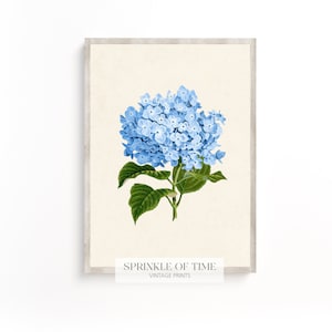 Vintage Blue Hydrangea Flower Wall Art | Digital Download | Antique Flower Print | FF-18