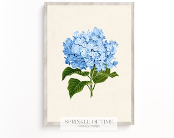 Vintage Blue Hydrangea Flower Wall Art | Digital Download | Antique Flower Print | FF-18