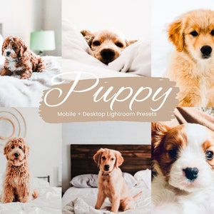 10 Puppy Lightroom Presets, Dogs Lightroom Presets, Pets Lightroom Presets, Mobile Presets + Desktop Presets, 2023