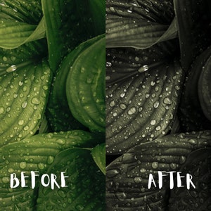 10 Moody Forest Lightroom Presets, Moody Nature Presets, Forest Presets, Cinematic Green presets, Dark Green, Mobile + Desktop | 2023 image 3