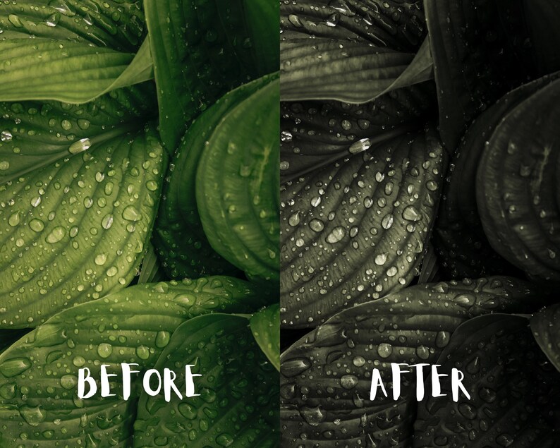 10 Moody Forest Lightroom Presets, Moody Nature Presets, Forest Presets, Cinematic Green presets, Dark Green, Mobile + Desktop | 2023 image 3