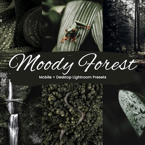 Op de afbeelding: Een collage van afbeeldingen die de schoonheid van een sfeervol bos laten zien. De afbeeldingen omvatten een waterval, een kronkelende weg door een bos, een groene kikker op een blad en close-ups van bladeren met waterdruppels. De tekst "Moody Forest" en "Mobile + Desktop Lightroom Presets" wordt weergegeven op een zwarte achtergrond.