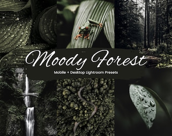 10 Moody Forest Lightroom Presets, Moody Nature Presets, Forest Presets, Cinematic Green presets, Dark Green, Mobile + Desktop | 2023