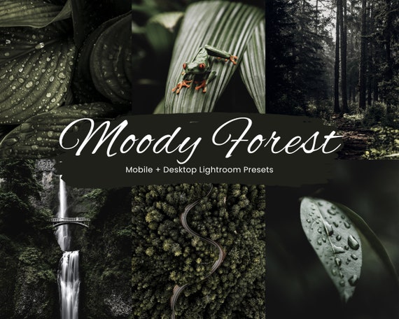 10 Moody Forest Lightroom Presets, Moody Nature Presets, Forest Presets, Cinematic Green presets, Dark Green, Mobile + Desktop | 2023