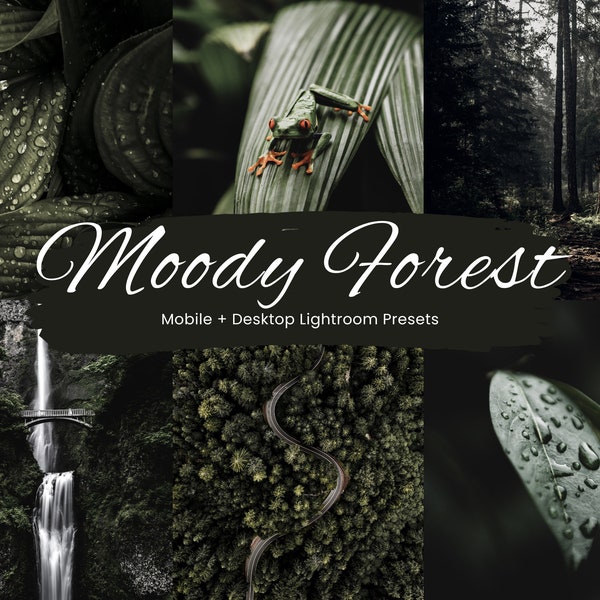 10 Moody Forest Lightroom Presets, Moody Nature Presets, Forest Presets, Cinematic Green presets, Dark Green, Mobile + Desktop | 2023