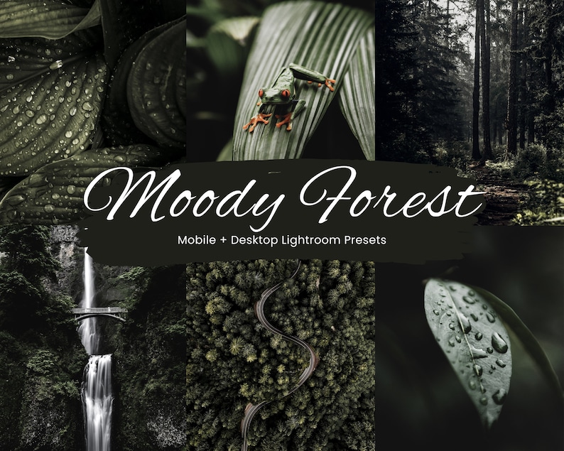 May include: A collage of images showcasing the beauty of a moody forest. The images include a waterfall, a winding road through a forest, a green frog on a leaf, and close-ups of leaves with water droplets. The text "Moody Forest" and "Mobile + Desktop Lightroom Presets" is displayed on a black background.