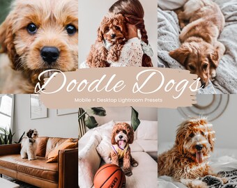 15 Doodle Dogs Lightroom Presets, Dog Presets, Pets Presets for Lightroom, Mobile pets presets, Lightroom presets dogs, Dogs Mobile