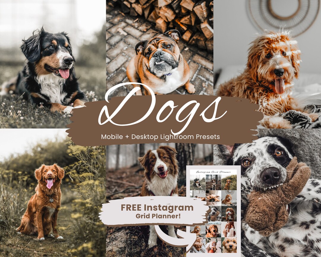 10 Dogs Lightroom Presets, Dogs Presets, Pets Presets for Lightroom