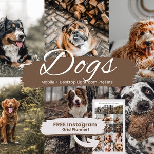 10 Dogs Lightroom Presets, Dogs Presets, Pets Presets for Lightroom, Mobile dogs presets, Mobile + Desktop, 2023