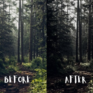 10 Moody Forest Lightroom Presets, Moody Nature Presets, Forest Presets, Cinematic Green presets, Dark Green, Mobile + Desktop | 2023 image 9
