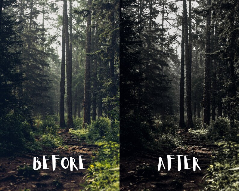 10 Moody Forest Lightroom Presets, Moody Nature Presets, Forest Presets, Cinematic Green presets, Dark Green, Mobile + Desktop | 2023 image 9