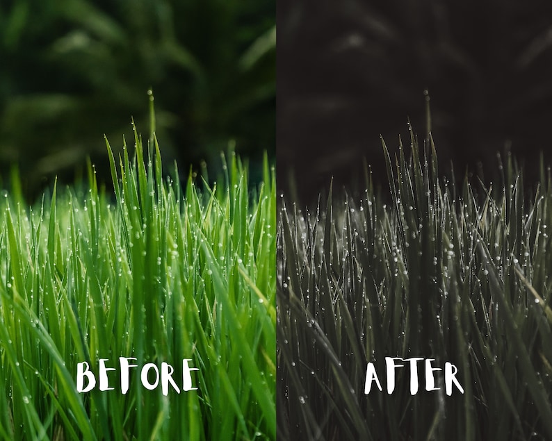 May include: Before and after image showing the effect of a photo filter on a close-up of green grass with dew drops. The image on the left is the original image, and the image on the right is the filtered image. The filtered image is darker and has a more dramatic look.