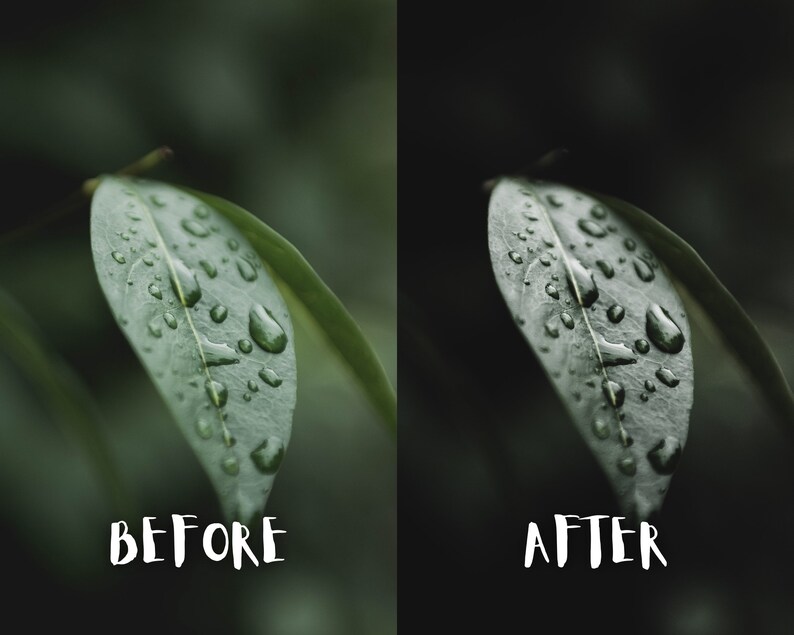 May include: A close-up of a green leaf with water droplets on it. The leaf is in focus, while the background is blurred.