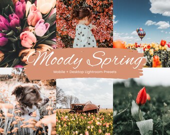 10 Moody Spring Lightroom Presets, Cinematic Spring Presets, Moody Holiday Presets, Mobile + Desktop presets, 2023