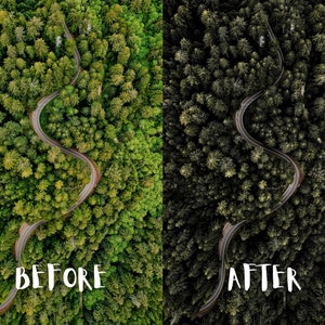 10 Moody Forest Lightroom Presets, Moody Nature Presets, Forest Presets, Cinematic Green presets, Dark Green, Mobile + Desktop | 2023 image 7